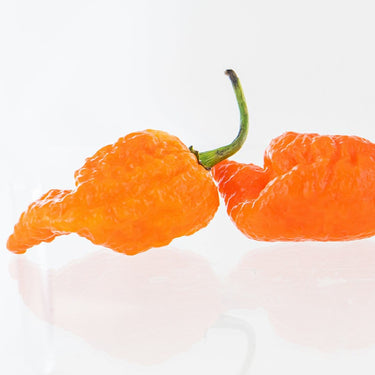 Peach Mutant X Pepper Seeds - The Pepper Pantry (Formerly Marie Sharp's)